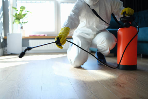 Reliable Hoarding Cleanup contractor in Clinton, NJ by Trauma Clean Pros